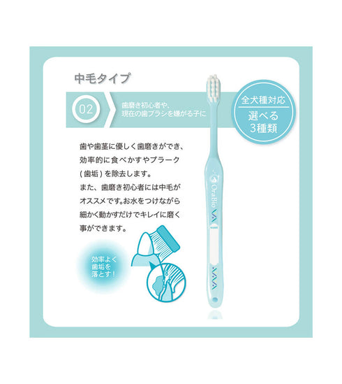 OraBio オーラバイオブラシ レギュラー
